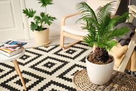 Here, your favorite looks cost less than you thought possible. 10 Simple Eco Friendly Home Decor Tips