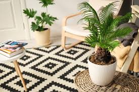 This link is to an external site that may or may not meet accessibility guidelines. 10 Simple Eco Friendly Home Decor Tips