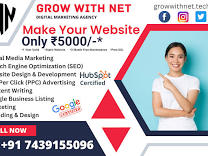 Make Your Website Only 5000/- product image