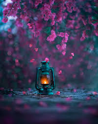 The photo links back to the photo on flickr and the caption indicates is a cc photo and gives the name of the photographer. Flickr S Top 25 Photos In 2020 Flickr Blog