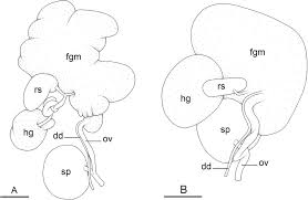 80 the friendship of david and jonathan. Labbe