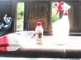 Tak perlu lelah mencabut, ini cara mudah dan alami basmi rumput liar. Cara Membasmi Rumput Liar Di Halaman Rumah Dengan Roundup Mas Yundar