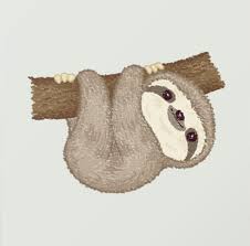 Een indrukwekkende afbeelding van een kool, aangevuld met een lichtgroene achtergrond. Weave Book Shelf Bin Joann Sloth Art Cute Baby Sloths Sloth Drawing