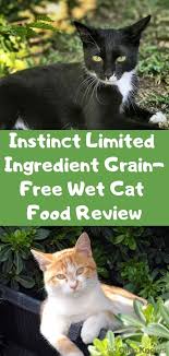 Instinct Limited Ingredient Grain Free Wet Cat Food Review Oliveknows Cat Food Reviews Wet Cat Food Cat Food