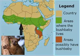 'wild chimps in their natural habitat'. Habitat Map Definition Example Study Com