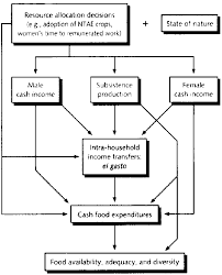 impact of ntae crop adoption on intra household income