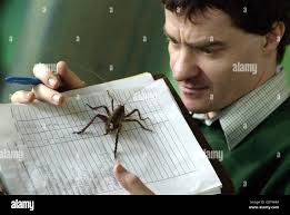 Paul insect hi-res stock photography and images