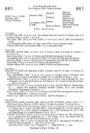 Goffs 2008 Sportsmans Yearling Sale By Goffs Issuu