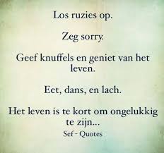 Pin Van Conny Scholte Op D Dutch Quotes Nederlandse Gezegdes Serieuze Citaten Inspirerende Citaten Teksten