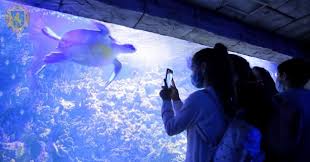 На трьох поверхах будинку розмістили більше двадцяти. Novini Loda Loda Lvivska Oblasna Derzhavna Administraciya