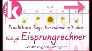 Danach kann keine befruchtung mehr stattfinden. Eisprungrechner Fruchtbare Tage Berechnen Kidsgo