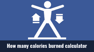 1 kcal per pull up. Activity Calorie Calculator How Many Calories Burned