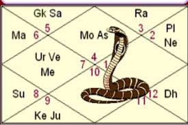 Kaal Sarp Dosh | Astrovaidya