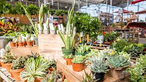 Check spelling or type a new query. Putting Down Roots Martin S Home Garden Keeps Murfreesboro Growing