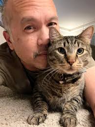 Accidental cicada death