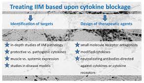 Azathioprine methotrexate ivig cellcept cyclophosphamide generally used as 3rd line, if refractory to other rx. Ijms Free Full Text Scanning For Therapeutic Targets Within The Cytokine Network Of Idiopathic Inflammatory Myopathies Html