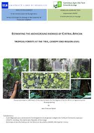 Image result for Tessmannia anomala