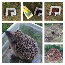 Igelbau Fur Den Garten Selber Machen 1 Grasnarbe Entfernen 2 Pflastersteine Anordnen 3 Biden Mit Einer Schicht Rindenmulch Bede Garten Pflastersteine Gras