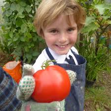 Forest School at Truro Prep School Nursery