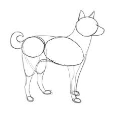 How To Draw Animals With Shapes Drawing And Coloring For Kids Dog Drawing Dog Drawing Tutorial Chihuahua Drawing