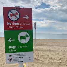 You'll spot plenty of people along bournemouth beach and the nearby bays every day of the year. Bournemouth Beach Hut Association Posts Facebook