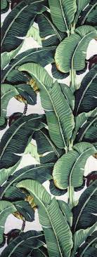 Shop modern mirrors, art, frames, shelves & ledges at west elm®. Martinique Wallpaper Martinique Wallpaper Palm Wallpaper Leaf Wallpaper