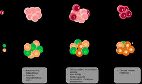 DNA Methylation Changes During Aging and in Age-Associated Diseases