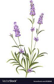 The Lavender Elegant Card With Bouquet Of Flowers And Text Lavender Garland For Your Text Presentation Lab Watercolor Flowers Flower Painting Digital Flowers