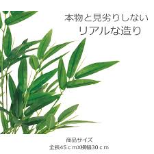 楽天市場 笹 竹 七夕 笹 枝 葉 950円 1000円以下 全長45ｃｍ 7月 6月 装飾 お祭り バンブー大枝 1本売り 大量注文可能 領収書発行 笹 飾り 笹 七夕 笹草 人工観葉植物 フェイクグリーン 和室 旅館 料亭 和食 装飾 笹 ディスプレイ グリーン マンション 造花の専門店
