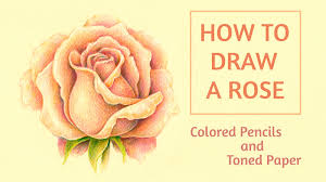 I transfer the main contours of the rose to the pastel paper. How To Draw A Rose With Colored Pencils