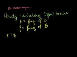 Answer key hardy weinberg problem set p2 + 2pq + q2 = 1 and p + q = 1 p = frequency of the dominant allele in the population q = frequency of the recessive allele in the 2pq = 2(.98)(.02) =.04 7. 5 2 Hardy Weinberg Theorem Biology Libretexts