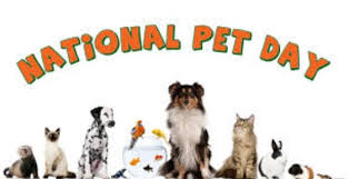 Some of these puppy names are probably familiar because they've been popular for a while (especially the ones at the top of the list). National Pet Day 2020