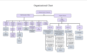 create custom organization and training charts