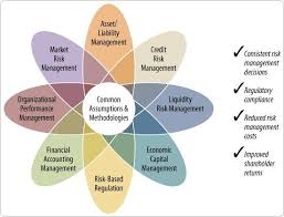 0b9cfd06e319f8363a7d28d0ce4d4589 Jpg 550 420 Pixels Risk Management Business Management Degree Program Management