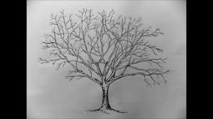 Dessin pas a pas arbre. How To Draw A Tree With Pencil Step By Step Youtube