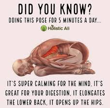 Best Tai Chi Kung Fu Online Yoga Benefits Health Fitness Yoga Fitness