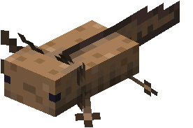 Watch more 'axolotl' videos on know your meme! Axolotl Minecraft Wiki