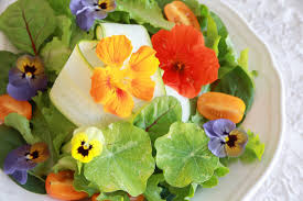What flowers are edible in salads. 10 Edible Flowers You Can Grow In Your Garden Here By Design