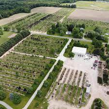 Dogwood Hills Tree Farm Facebook