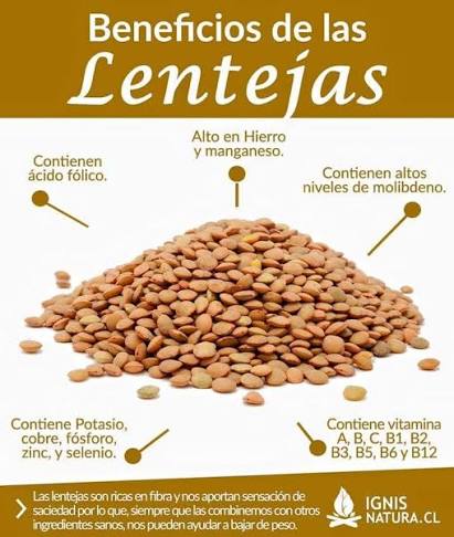 Lentejas l ¿Sabías que Michoacán produce casi toda la lenteja de México? 🟤📈 Para fortalecer esta cadena, el Gobierno lanzó un programa de acopio que compra el grano directo a los productores,