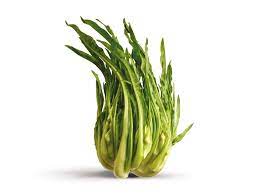 A quel punto in europa il consumo del caffè era già più che diffuso e per sopperire alla mancanza, la bevanda a base di cicoria la fece padrona per alcuni anni, salvo poi cadere nell'oblio fino ai giorni nostri, dove rivive una. Cicoria Cimata Azienda Ortofrutticola Orsini Damiani