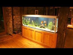 How To Maintain A Big Fish Tank Aquarium Care Youtube