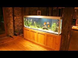 how to maintain a big fish tank aquarium care youtube