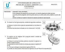 Pin En Biologia Geologia Ciencia