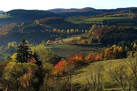 Herfst In Sauerland Landscape Nature Germany