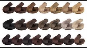 Know About Medium Ash Brown Hair Color Chart Youtube