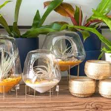 Planning a louisville wedding or an event elsewhere in kentucky? Locally Owned Plant Shops In Louisville Kentucky Real Estate The Price Group