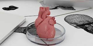 Bioengineer Reveals The Biggest Challenge To 3d Printing Organs 3d Printing Prints Organs