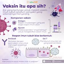 Pilihan ganda soal sistem periodik unsur dan struktur atom. Soal Dan Jawaban Sistem Imun Kherysuryawan Id