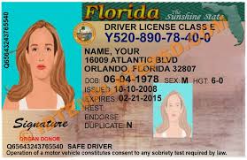 This Is Florida Usa State Drivers License Psd Photoshop Template On This Psd Template You Can Put Any Name Addres Drivers License Florida Usa Card Printer